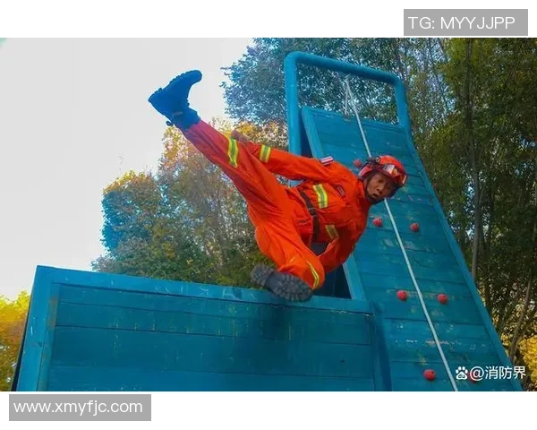 深圳篮球队的蜕变之旅从低谷到巅峰的奋斗与坚持